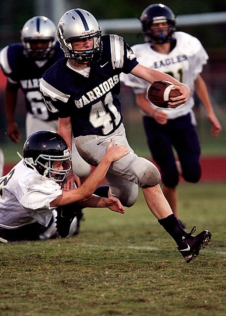 的全能型数 的全能型数