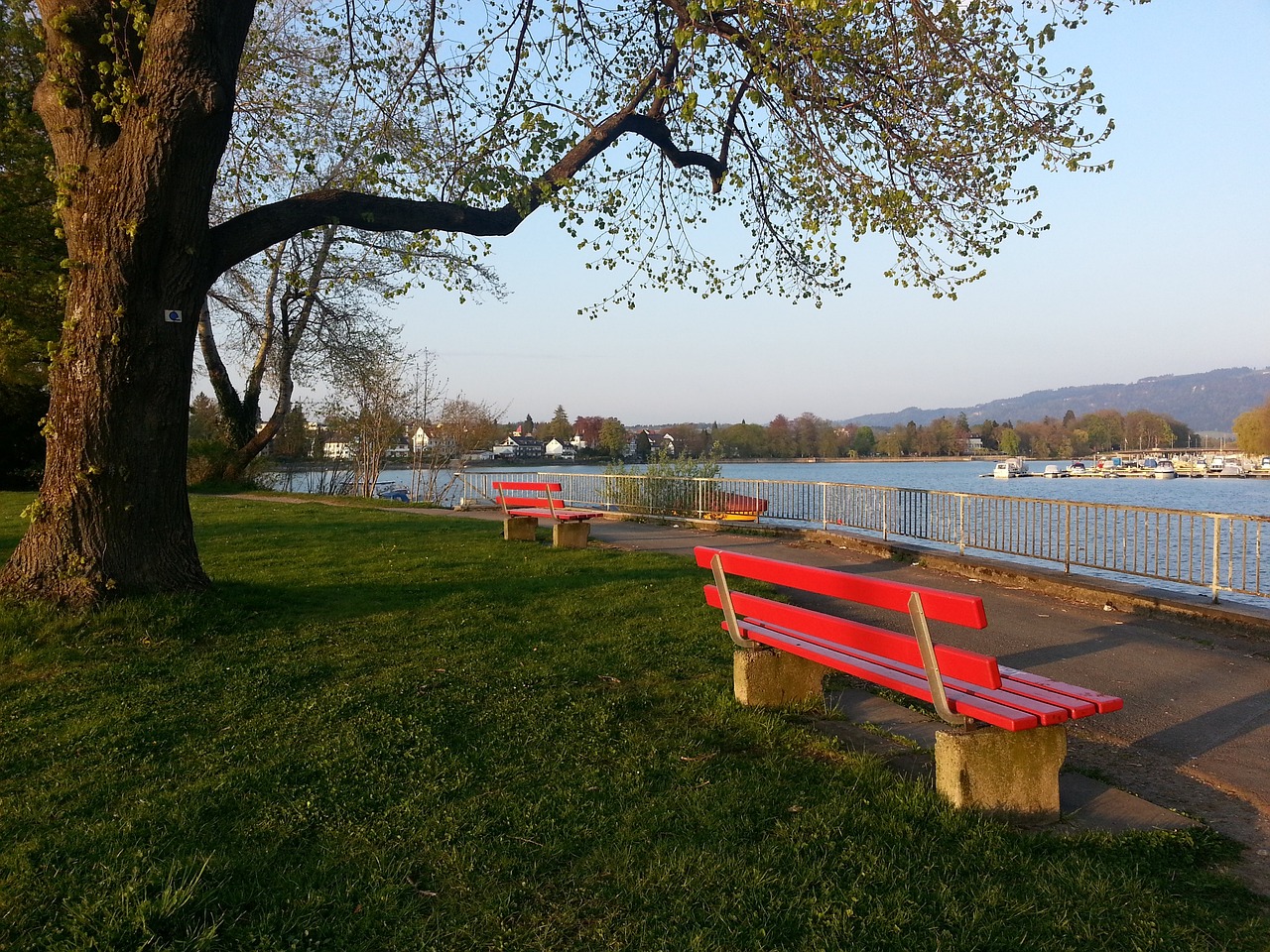 作為全球最 作為全球最