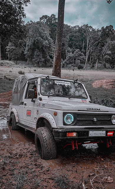 的专注与热 的专注与热